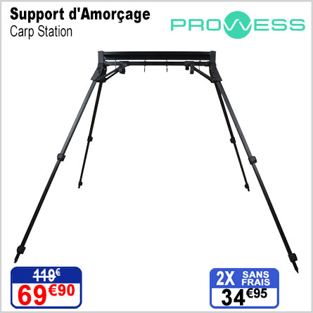 Support d'Amorçage Prowess Carp Station