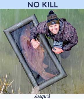 No kill