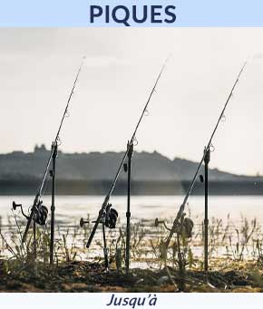 Piques