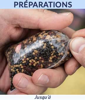 Pr&eacute;paration