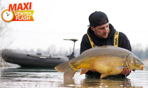 Navigation & No Kill