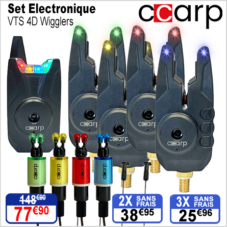 Set Electronique Ccarp VTS 4D Wigglers