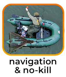 Navigation & No Kill