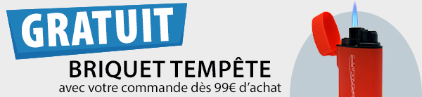 Briquet temp&ecirc;te offert