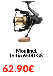 Moulinet Initia 6500 GS