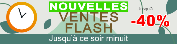 Ventes Flash
