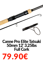 Canne Pro Elite Tatsuki 50mm 12' 3.25lbs Full Cork